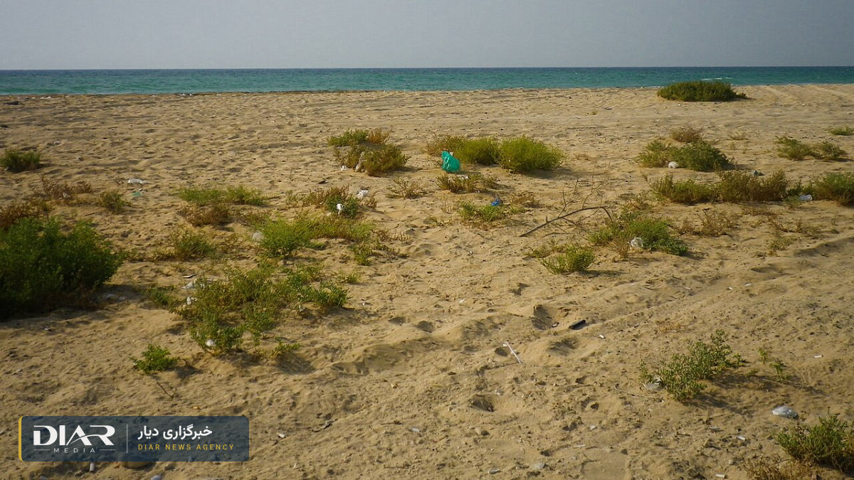 نشت نفت در خلیج فارس؛ امارات سواحل امالقیوین و رأسالخیمه را بست