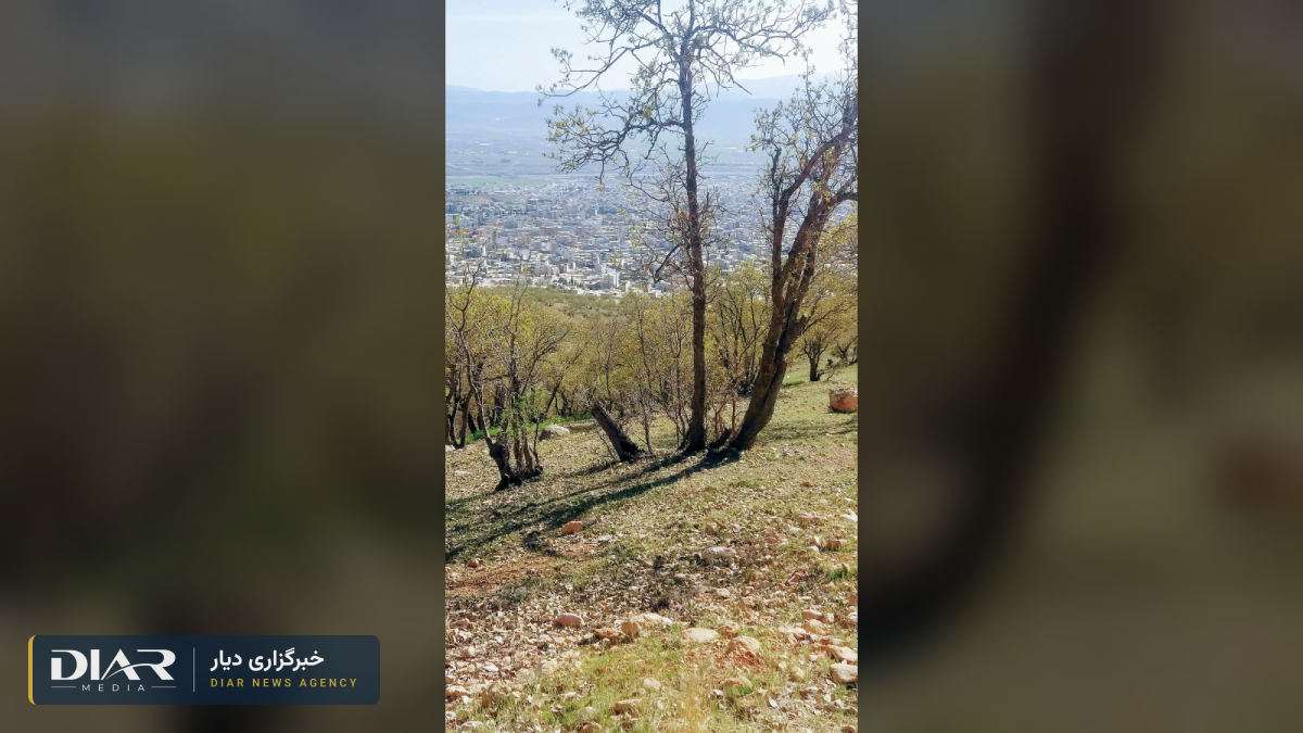 دادسرای انقلاب بویراحمد شش فعال مدنی یاسوج را احضار کرد و گوشی‌هایشان را خواست