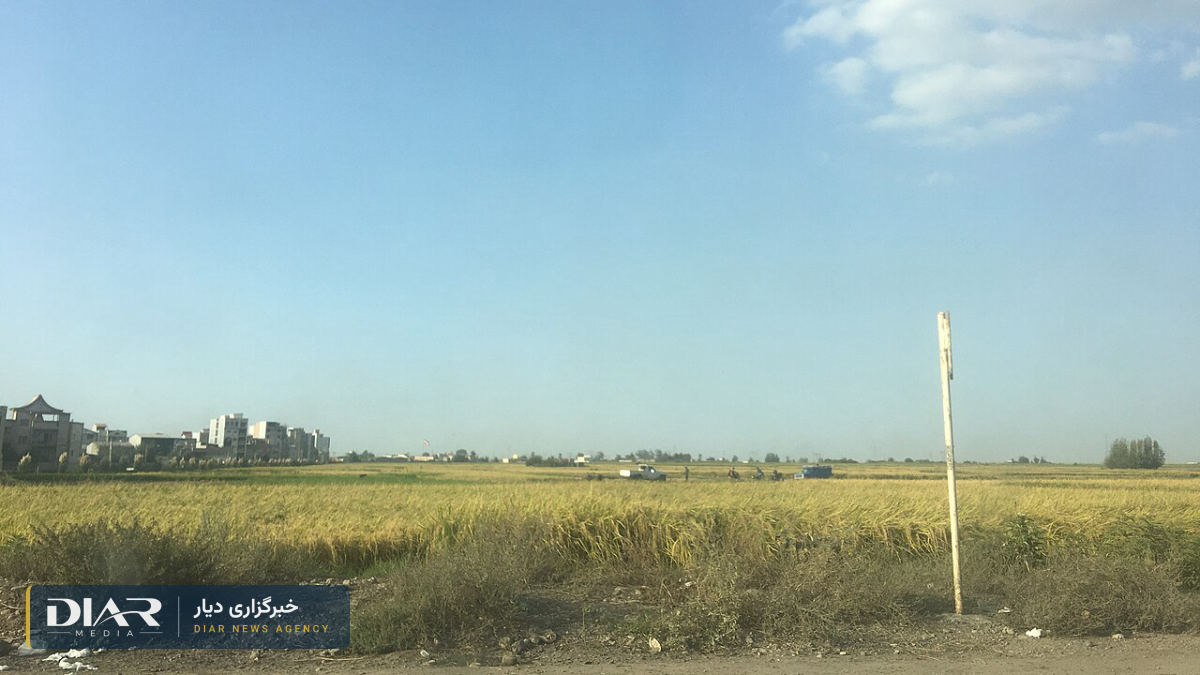 مرگ عبدالله عبداللهی، معلم بازنشسته علی‌آباد کتول، پس از بازداشت دخترش