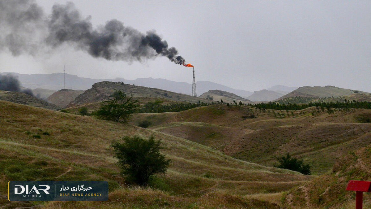 Flogging of Petropars Hoveyzeh workers: Haft Tappeh union demands immediate halt to sentences