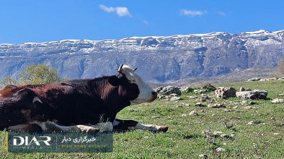 بدره ایلام؛ عرفان کرم‌ویسی ۱۹ ساله به مکان نامعلومی منتقل شد